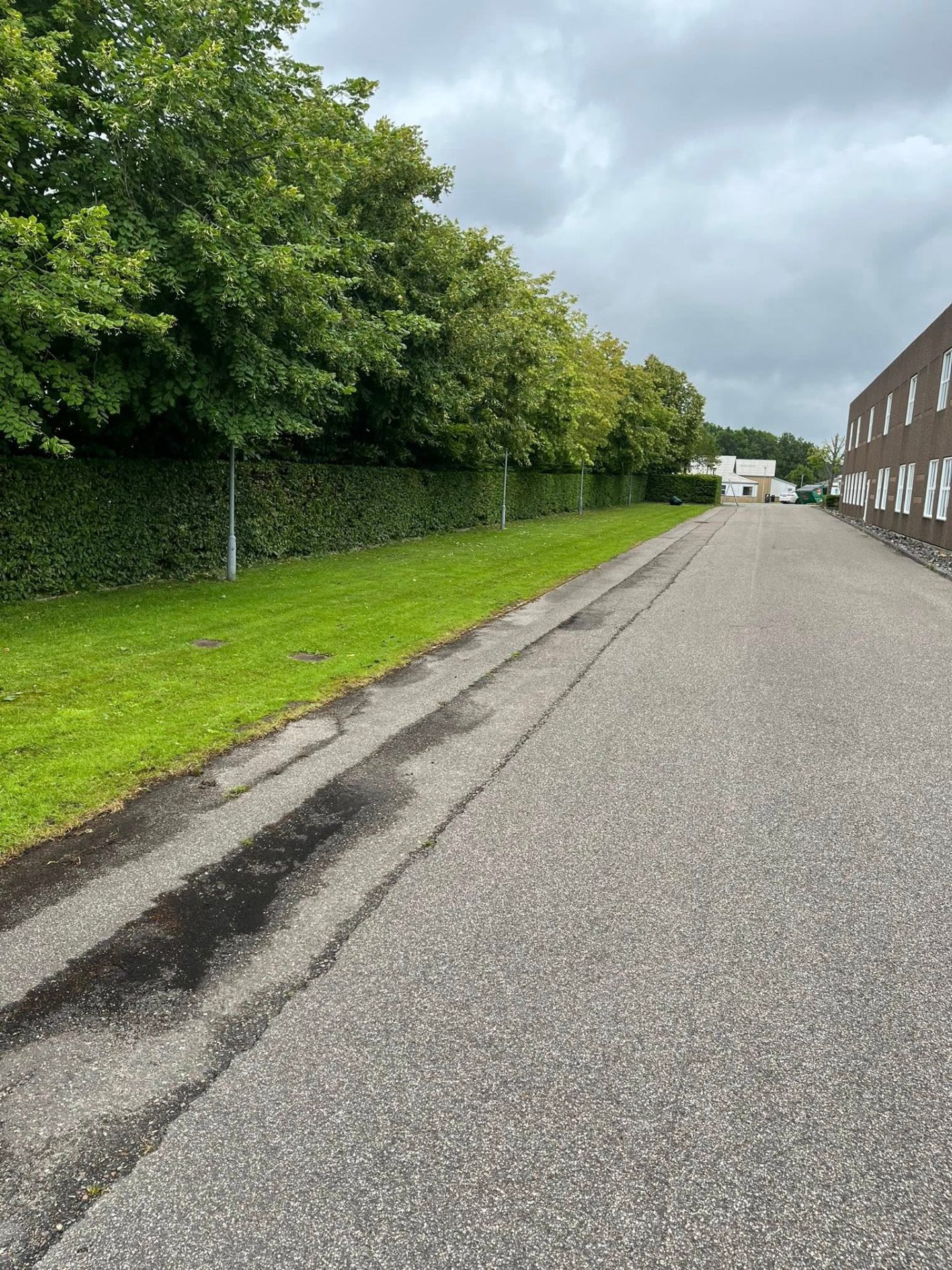 Græskant op til asfalt